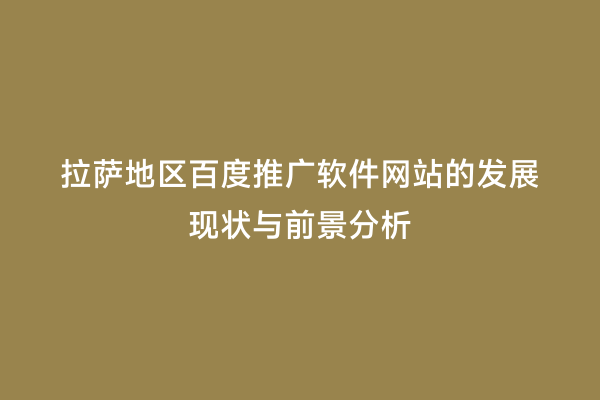 拉萨地区百度推广软件网站的发展现状与前景分析