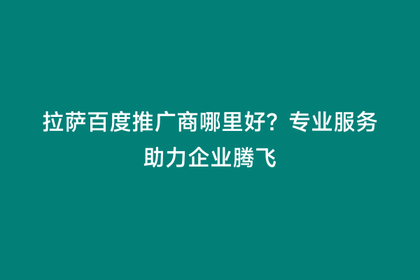 拉萨百度推广商哪里好？专业服务助力企业腾飞