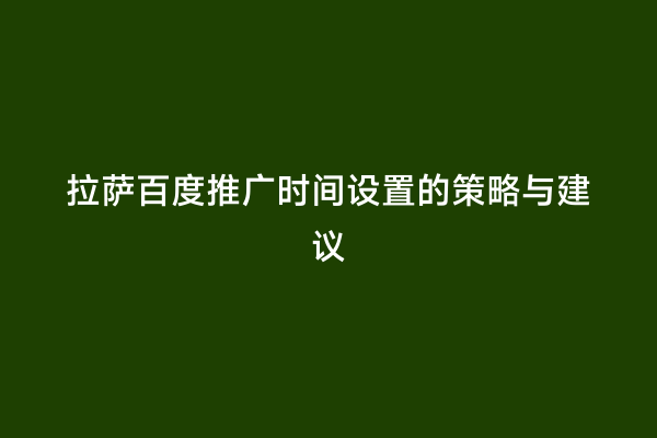 拉萨百度推广时间设置的策略与建议
