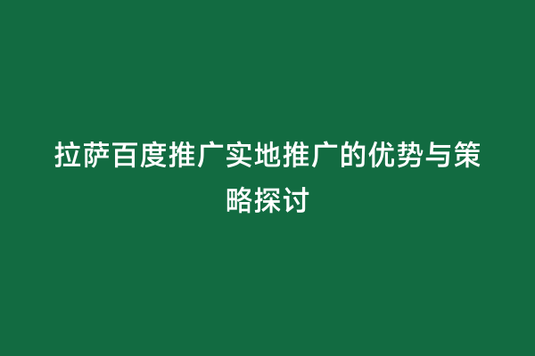 拉萨百度推广实地推广的优势与策略探讨