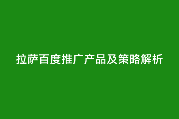 拉萨百度推广产品及策略解析