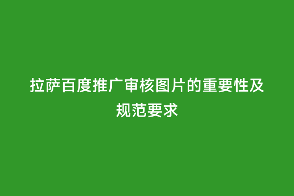 拉萨百度推广审核图片的重要性及规范要求