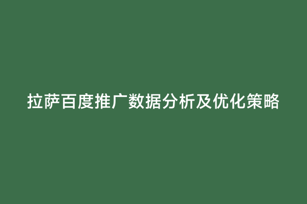 拉萨百度推广数据分析及优化策略