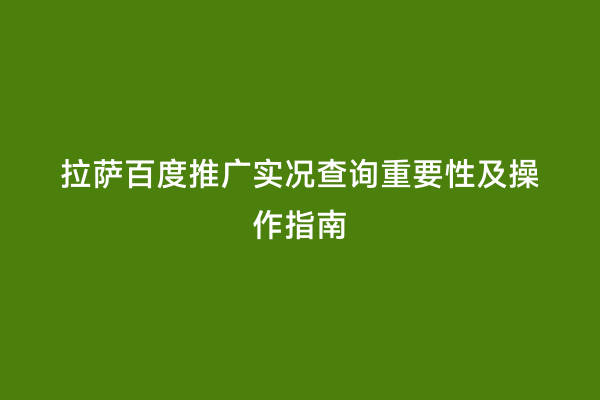 拉萨百度推广实况查询重要性及操作指南