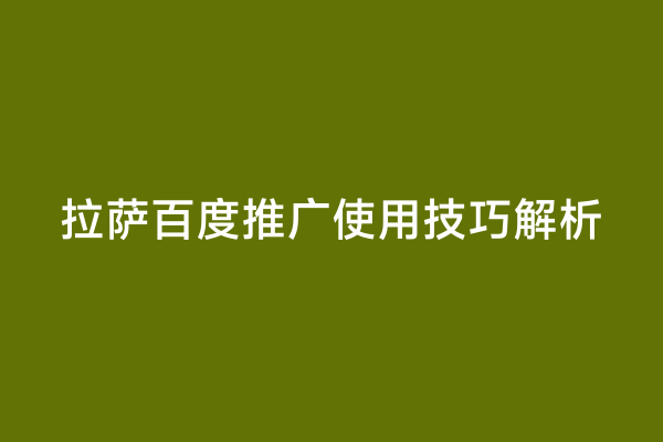 拉萨百度推广使用技巧解析