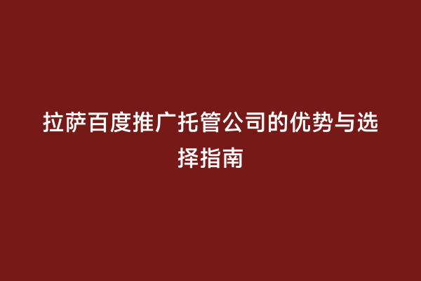 拉萨百度推广托管公司的优势与选择指南