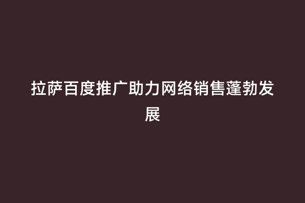 拉萨百度推广助力网络销售蓬勃发展