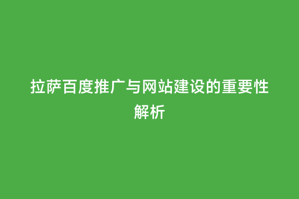 拉萨百度推广与网站建设的重要性解析