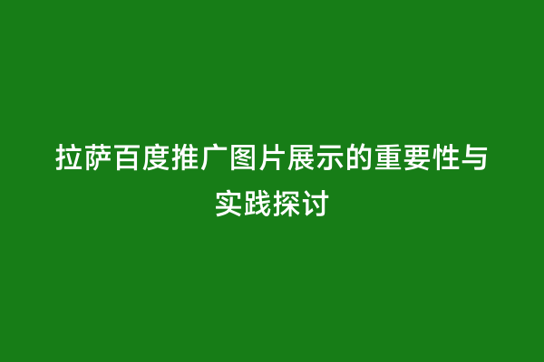 拉萨百度推广图片展示的重要性与实践探讨