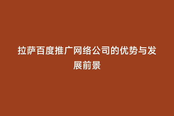 拉萨百度推广网络公司的优势与发展前景