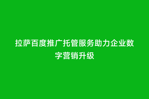 拉萨百度推广托管服务助力企业数字营销升级