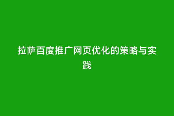 拉萨百度推广网页优化的策略与实践