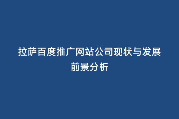 拉萨百度推广网站公司现状与发展前景分析