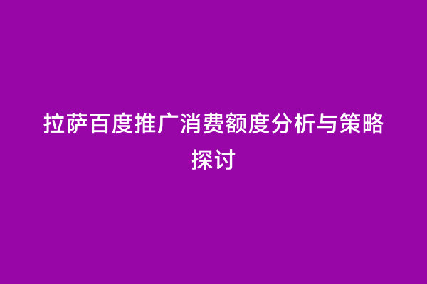 拉萨百度推广消费额度分析与策略探讨