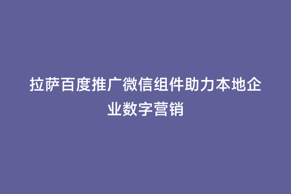 拉萨百度推广微信组件助力本地企业数字营销