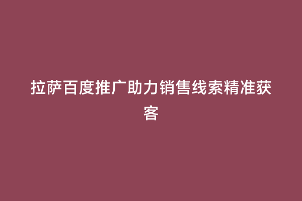 拉萨百度推广助力销售线索精准获客