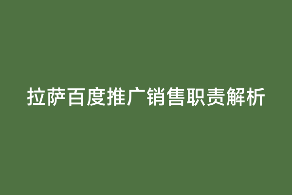 拉萨百度推广销售职责解析