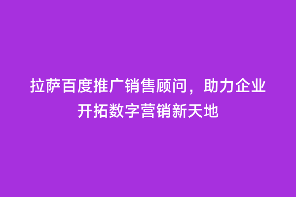 拉萨百度推广销售顾问，助力企业开拓数字营销新天地