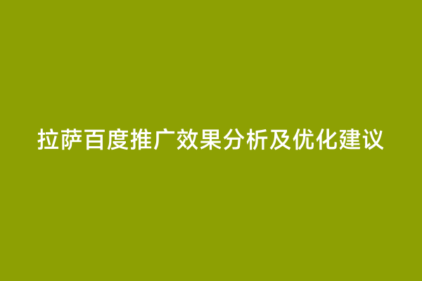 拉萨百度推广效果分析及优化建议