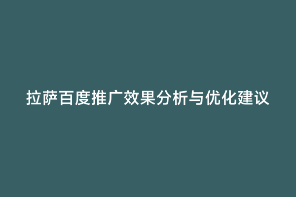 拉萨百度推广效果分析与优化建议