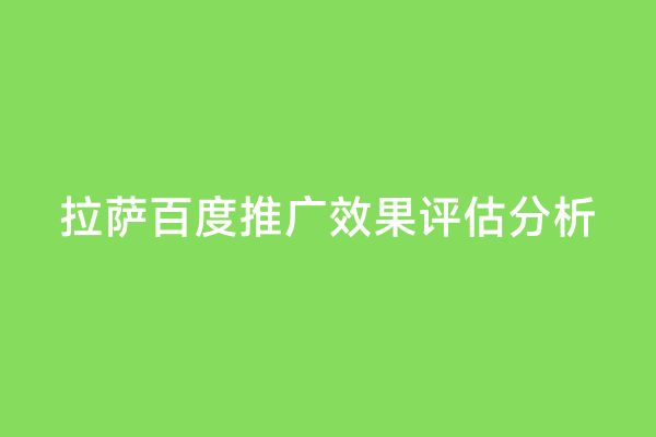 拉萨百度推广效果评估分析