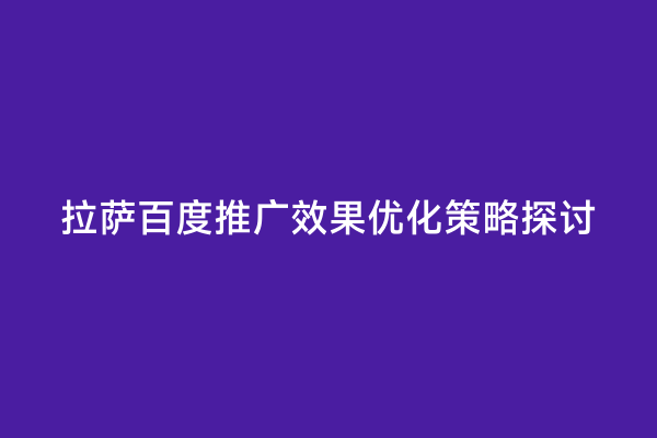 拉萨百度推广效果优化策略探讨