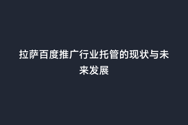 拉萨百度推广行业托管的现状与未来发展