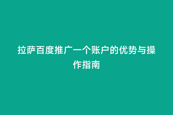 拉萨百度推广一个账户的优势与操作指南