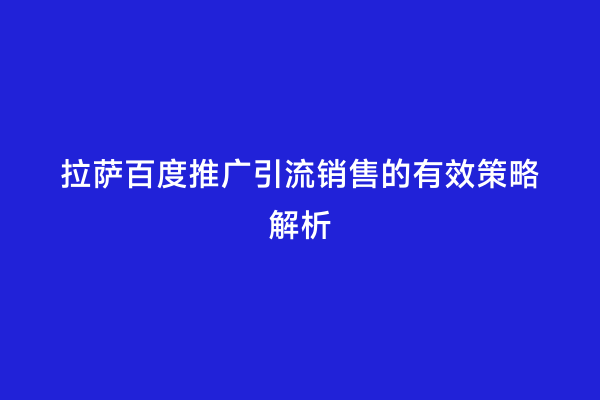 拉萨百度推广引流销售的有效策略解析