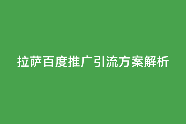 拉萨百度推广引流方案解析