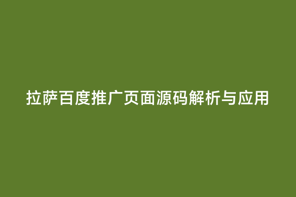 拉萨百度推广页面源码解析与应用