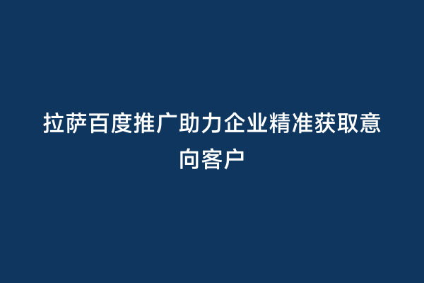 拉萨百度推广助力企业精准获取意向客户