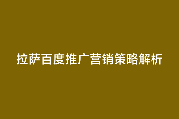 拉萨百度推广营销策略解析