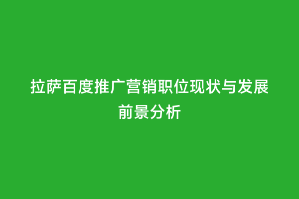 拉萨百度推广营销职位现状与发展前景分析