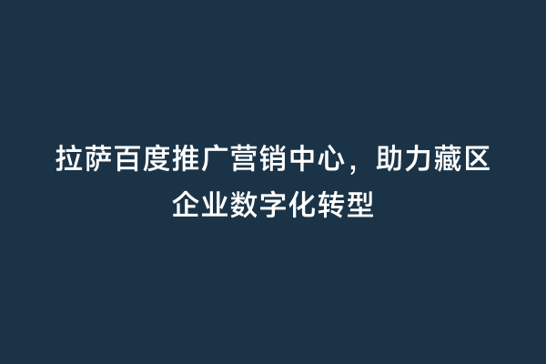 拉萨百度推广营销中心，助力藏区企业数字化转型