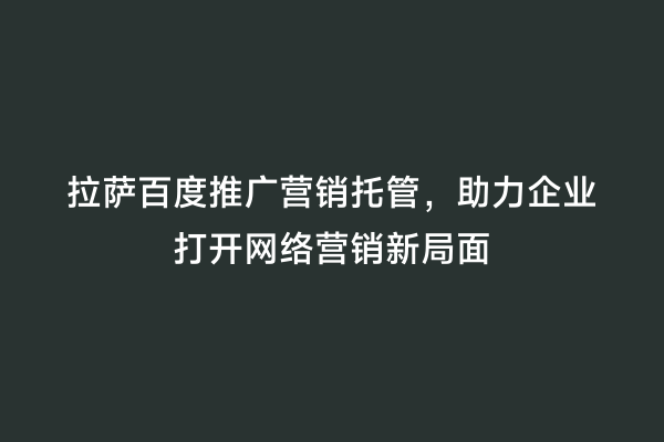 拉萨百度推广营销托管，助力企业打开网络营销新局面