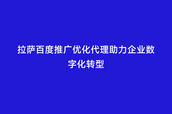 拉萨百度推广优化代理助力企业数字化转型