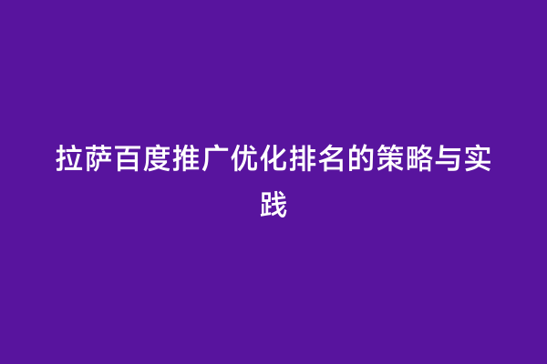 拉萨百度推广优化排名的策略与实践