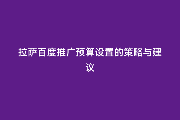 拉萨百度推广预算设置的策略与建议