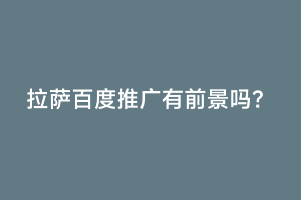 拉萨百度推广有前景吗？