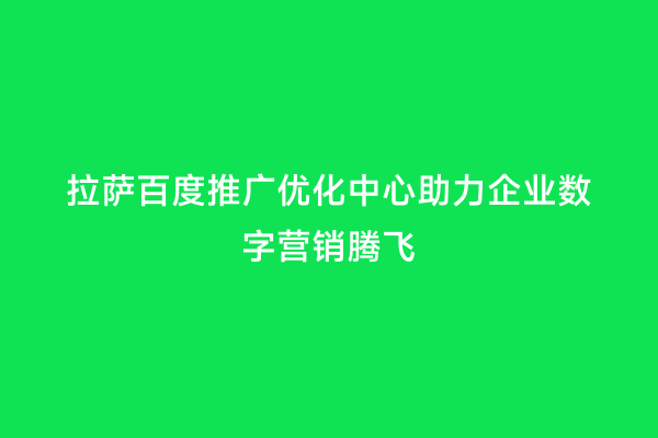 拉萨百度推广优化中心助力企业数字营销腾飞
