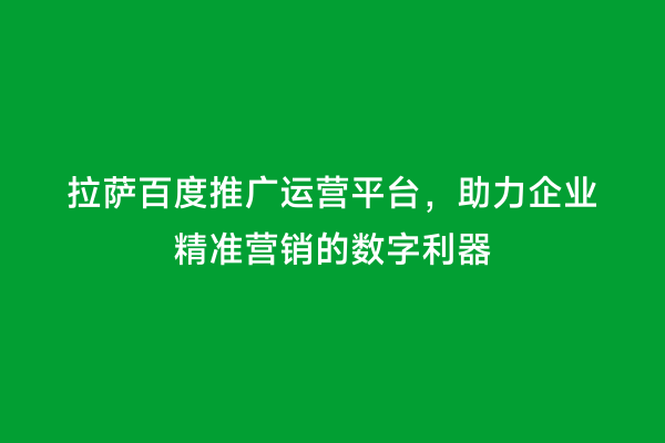拉萨百度推广运营平台，助力企业精准营销的数字利器