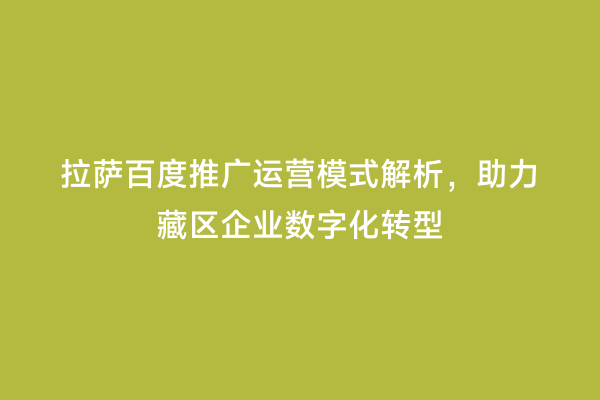 拉萨百度推广运营模式解析，助力藏区企业数字化转型