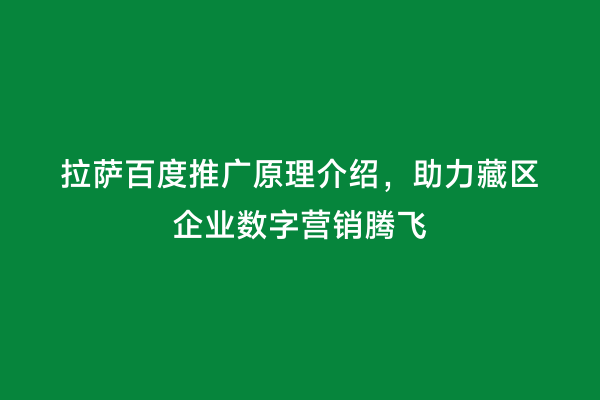 拉萨百度推广原理介绍，助力藏区企业数字营销腾飞