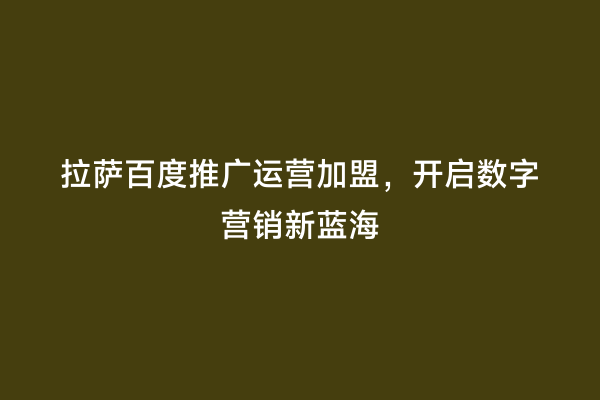 拉萨百度推广运营加盟，开启数字营销新蓝海