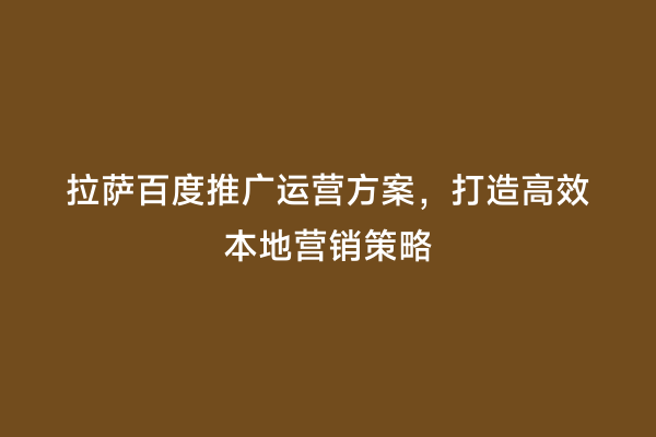 拉萨百度推广运营方案，打造高效本地营销策略