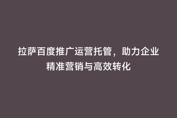 拉萨百度推广运营托管，助力企业精准营销与高效转化
