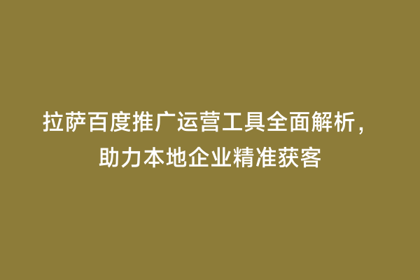 拉萨百度推广运营工具全面解析，助力本地企业精准获客