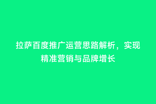 拉萨百度推广运营思路解析，实现精准营销与品牌增长