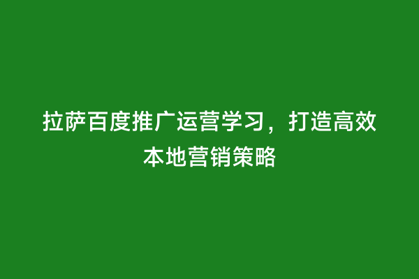 拉萨百度推广运营学习，打造高效本地营销策略